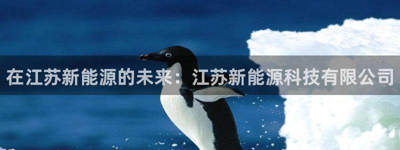 sunbet程序