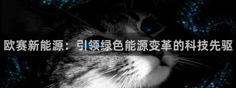 sunbet最新登陆
