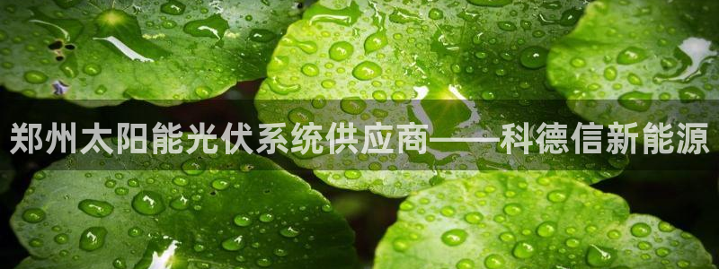 sunbet官网开户登录手机版