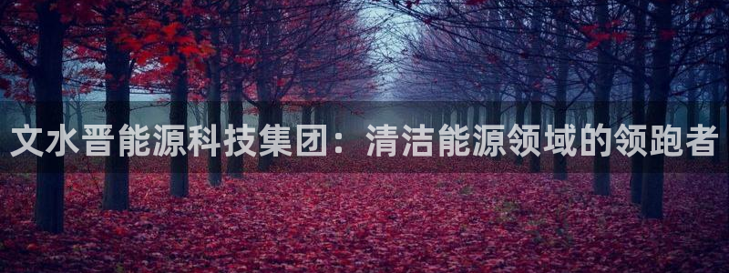 sunbet手机版官网下载