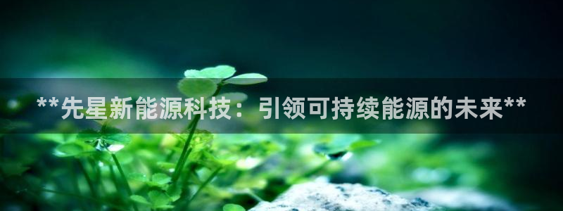 sunbet游戏官网