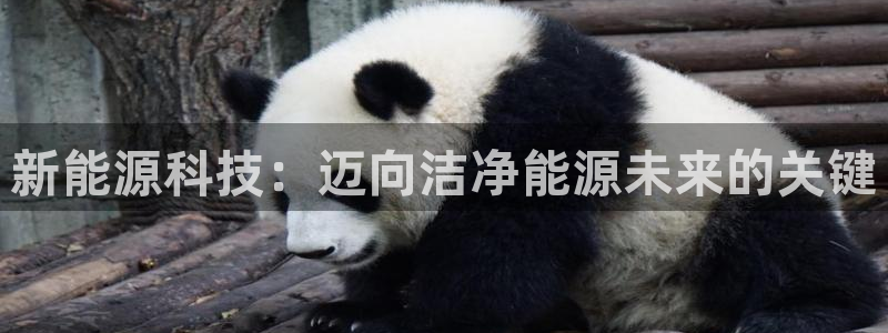 sunbet手机网页版下载