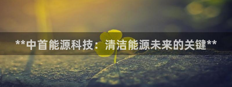 sunbet官网app首页