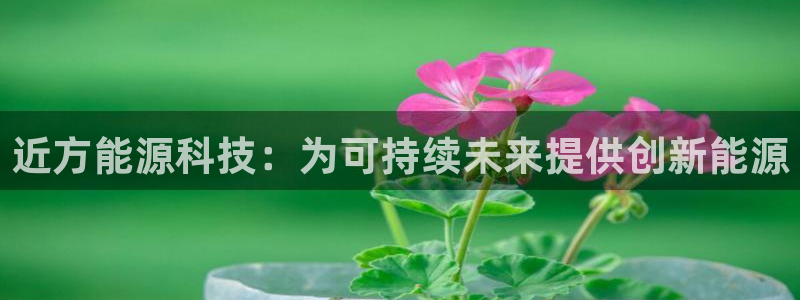 sunbet游戏网