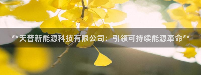 sunbet程序