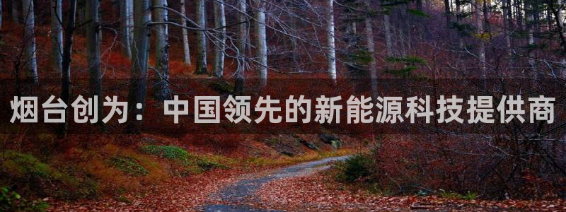 申博手机版app下载