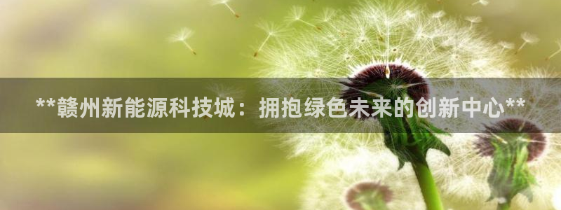 sunbet程序