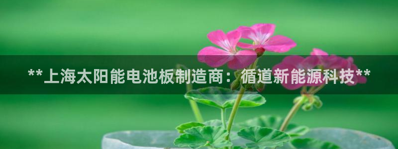 sunbet申搏官方网站