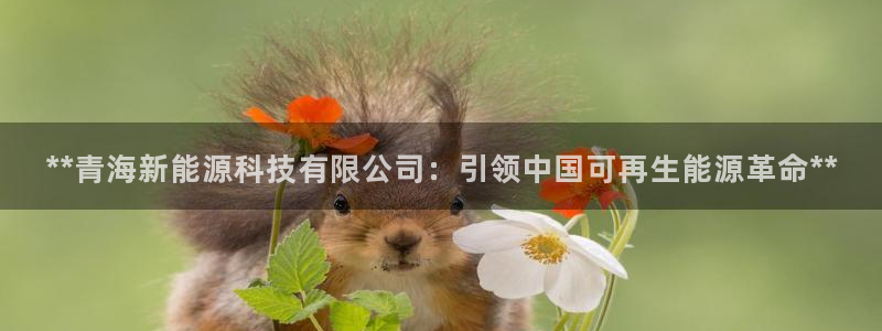 sunbet游戏