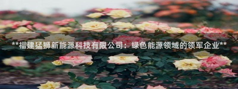 sunbet首页登录入口