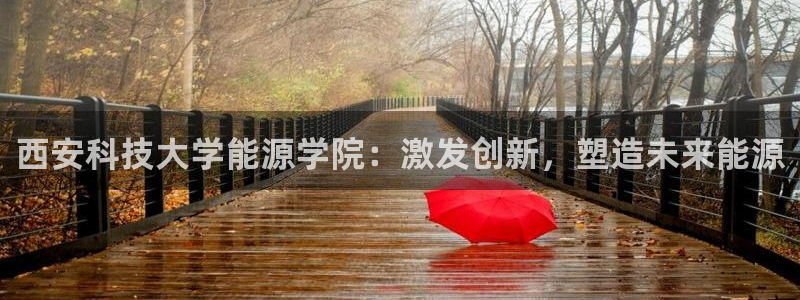sunbet官网手机版登录