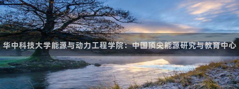 sunbet源码