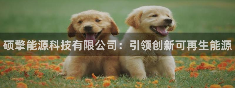 sunbet游戏最新版
