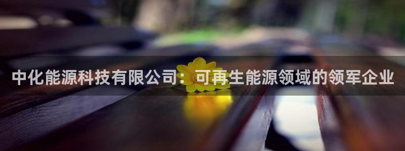 申博手机网站
