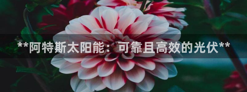 申博手机网址