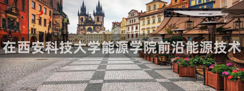sunbet最新登陆