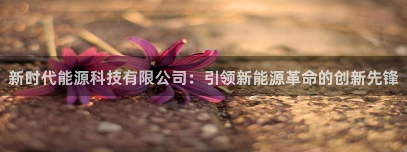 sunbet手机版官网下载