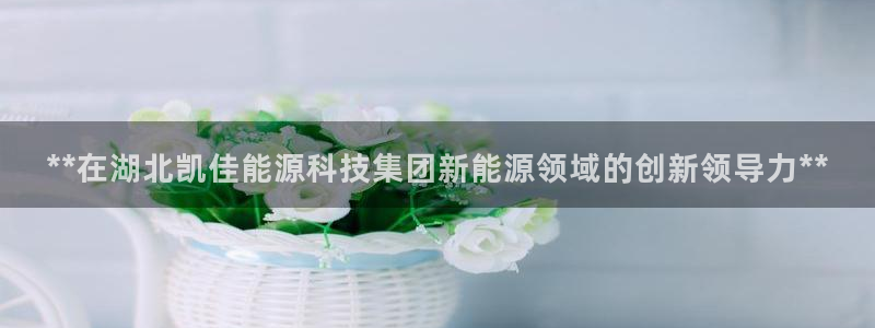 申慱sunbet网站