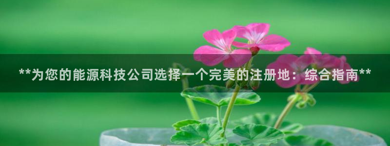 申博手机版app下载