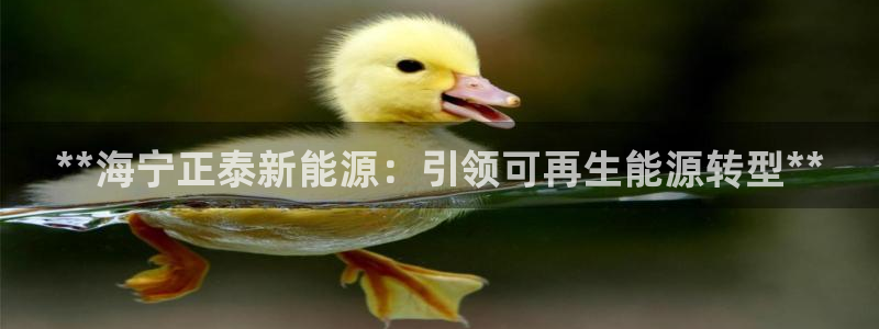 sunbet官网登录首页
