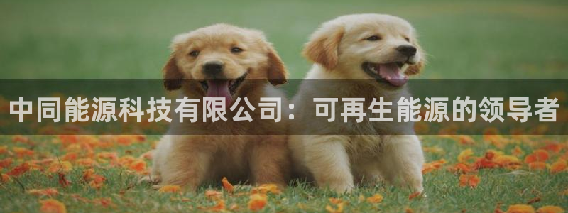 进入sunbet官网手机版登陆