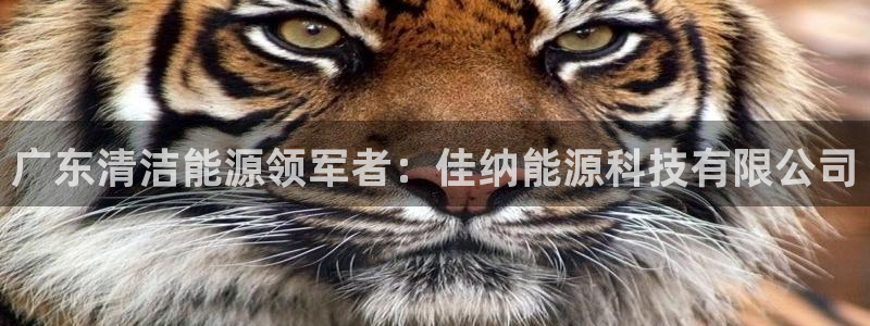申博手机版app下载