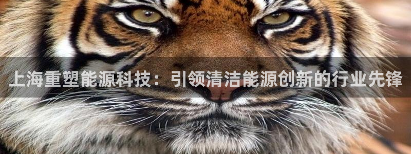 sunbet官网开户登录手机版