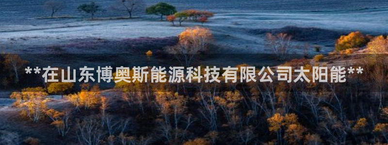 申博官方网站