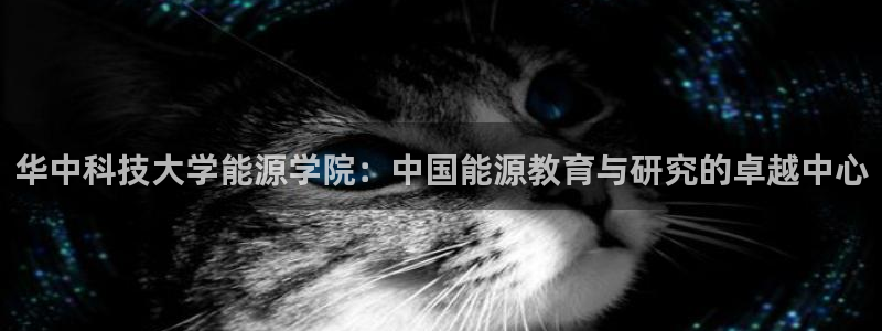 申博官方网站手机版下载