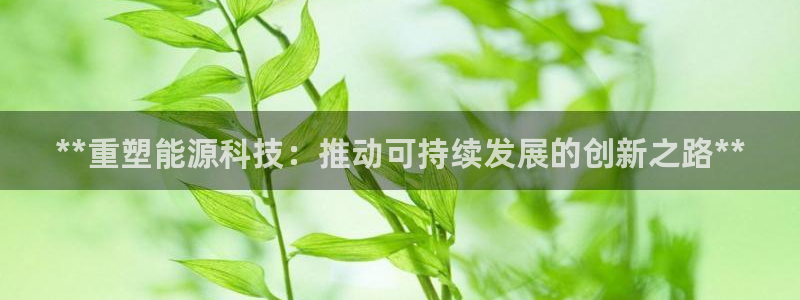 申博手机版官网