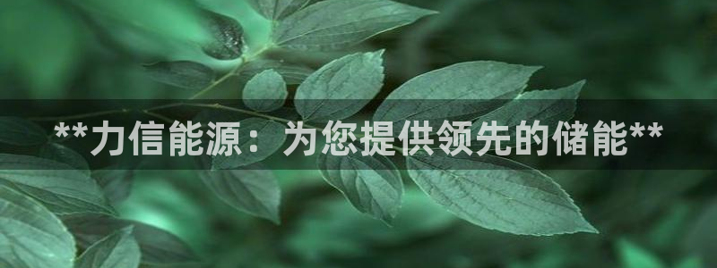 sunbet游戏最新版
