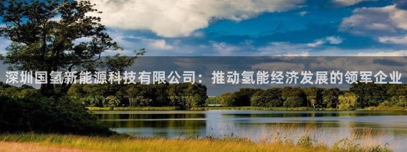 sunbet燃气灶
