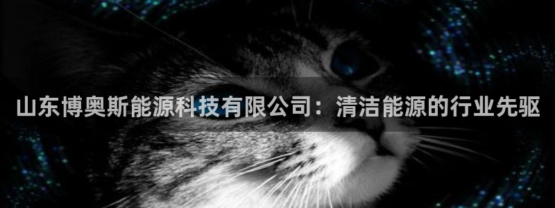 申博视讯