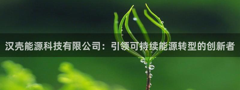 sunbet手机端