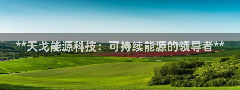 sunbet申搏官网