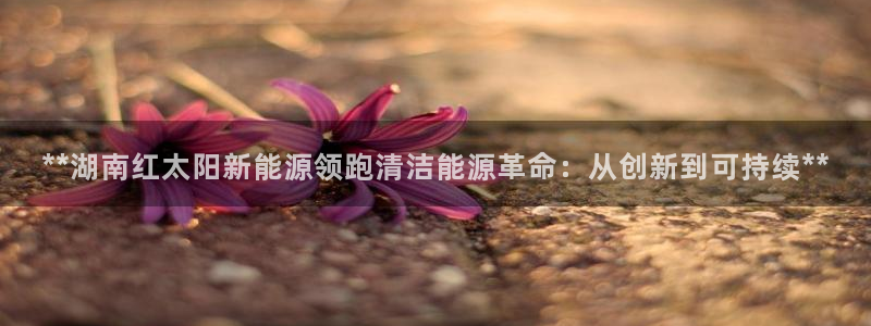 sunbet安卓下载