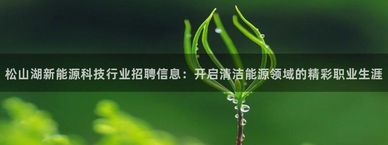 sunbet申搏app下载