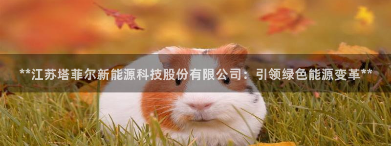 申博官方网站