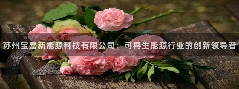 申博手机版官网