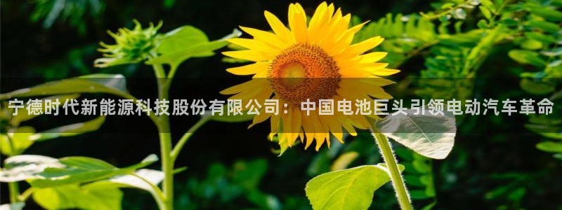 sunbet线上真人手机版