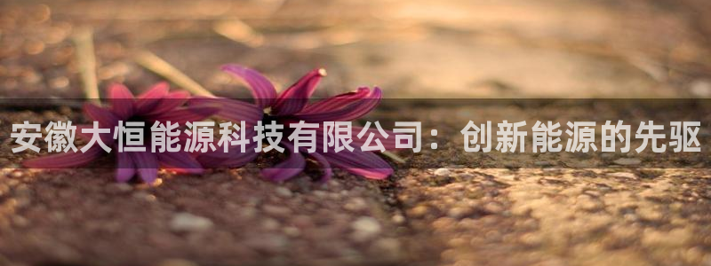 sunbet官网app首页
