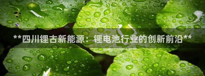 sunbet最新登陆