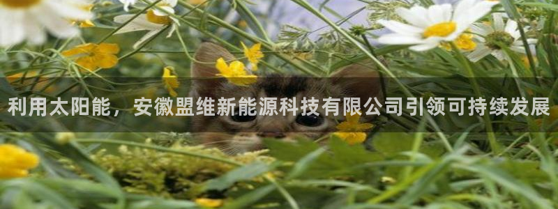 sunbet申搏app下载