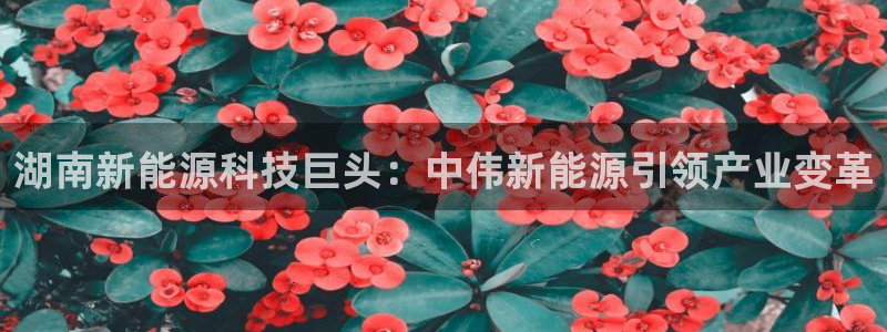 sunbet首页登录入口