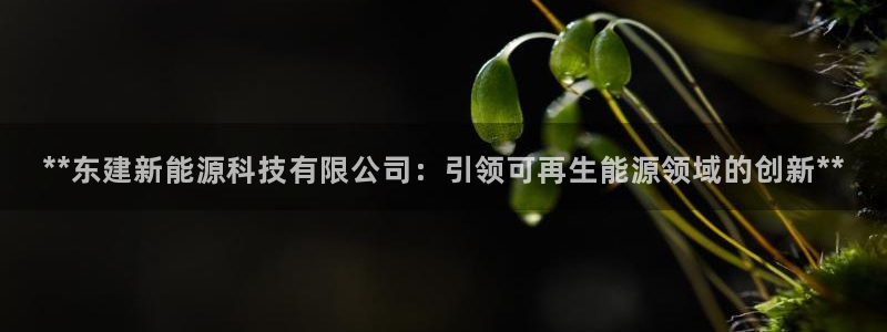 sunbet申搏官方网站