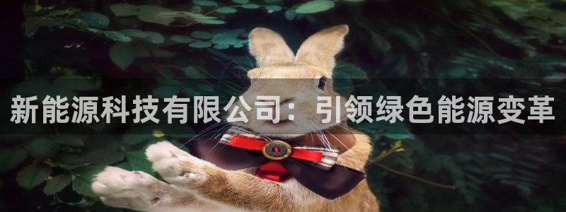 sunbet手机版官网下载