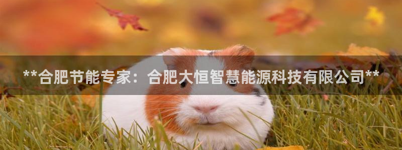 申博官方网站手机版下载