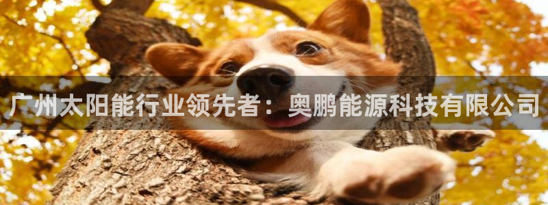 申慱sunbet网站