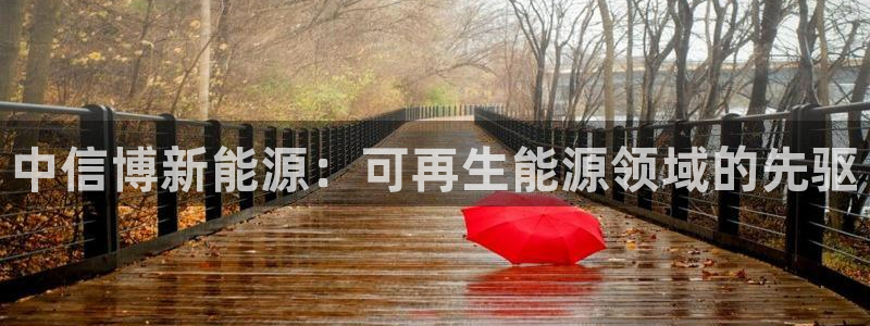 sunbet程序