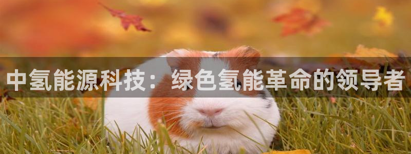 申博手机网址